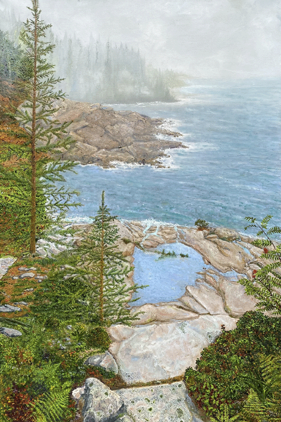 Acadia National Park #3