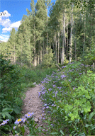 Purgatory Creek trail, Colorado.