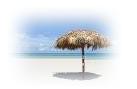tropical beach scene