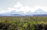 Christian Pond Trail at Jackson lake Lodge, Grand Teton National Park, Wyoming.