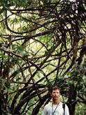 Outeiro Island nature trail near Bel�m, Brazil.