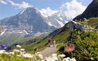 Alpine hike down from Kleine Scheidegg to Grindelwald, Switzerlandd.
